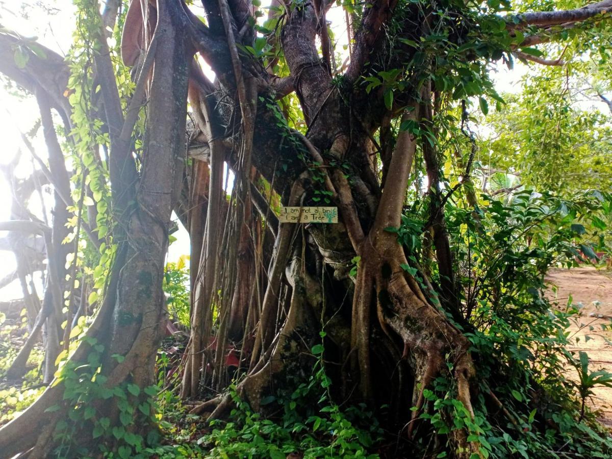 فندق The Azure - M'Pai Bay كوه رونغ ساملوم المظهر الخارجي الصورة